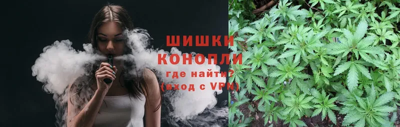 Конопля Ganja  Барыш 